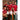 Hongrie 2026 Domicile image 9