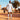 Sénégal 2026 Domicile image 9