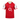 Arsenal FC 2004/05 Domicile image 1