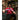 PSV Eindhoven 1995/96 Domicile image 3