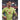 Spain 2024 Away Jersey image 4
