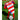 Granada CF 2024/25 Heimtrikot Bild 6