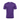ACF Fiorentina 2025/26 Domicile image 2