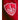 Stade Brestois 2025/26 1a Equipación imagen 11