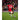 FC Bayern München 2026/27 Home Jersey image 12
