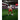 RB Leipzig 2026/27 Home Jersey image 6