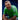 Seattle Sounders FC 2026 Equipamento Principal imagem 6