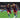 FC Barcelona 2010/11 Domicile image 13
