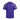 ACF Fiorentina 1997/98 Domicile image 2