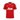 Manchester United FC 2010/11 Domicile image 1