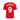 Manchester United FC 2010/11 Domicile image 2