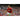 Manchester United FC 2010/11 Domicile image 6