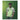 Nigeria 2018 Domicile image 3